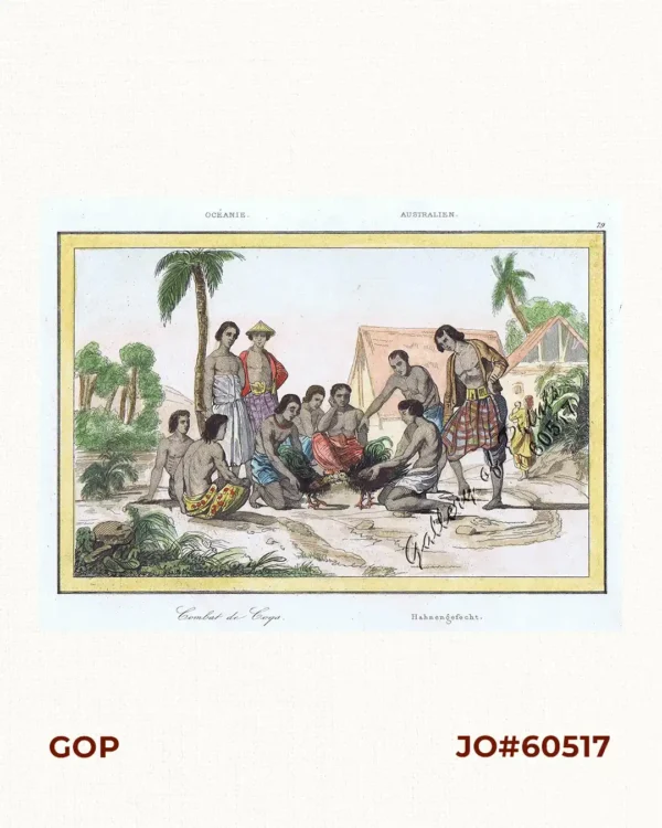 Oceanie. Australien. - Combat de Coqs. (per text: Philippines][Cock Fight]