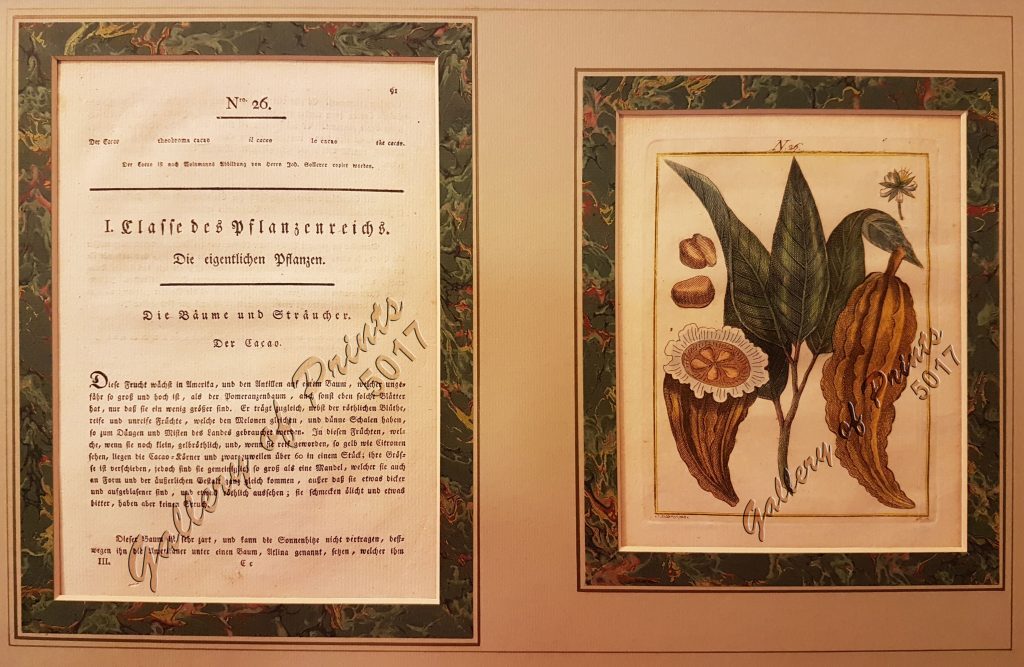Der Cacao Gallery of Prints
