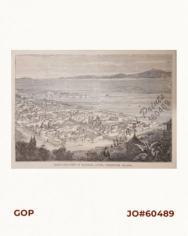 Bird's-eye view of Manilla, Luzon, Philippine Islands.