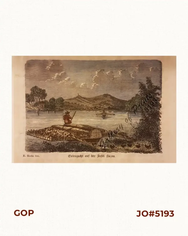 Entenzucht auf der Insel LuÇon. [Raising Ducks on Luzon Island]