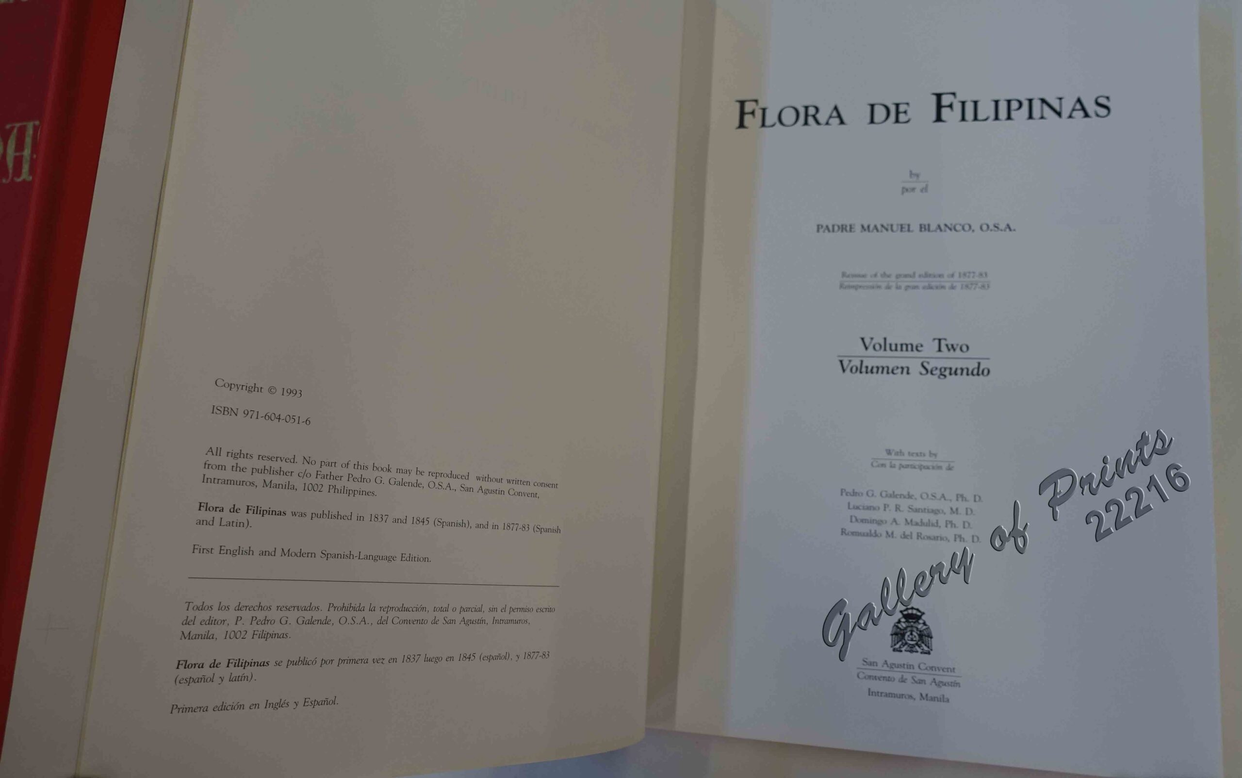 Flora de Filipinas - Image 3