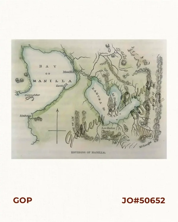 Environs of Manilla