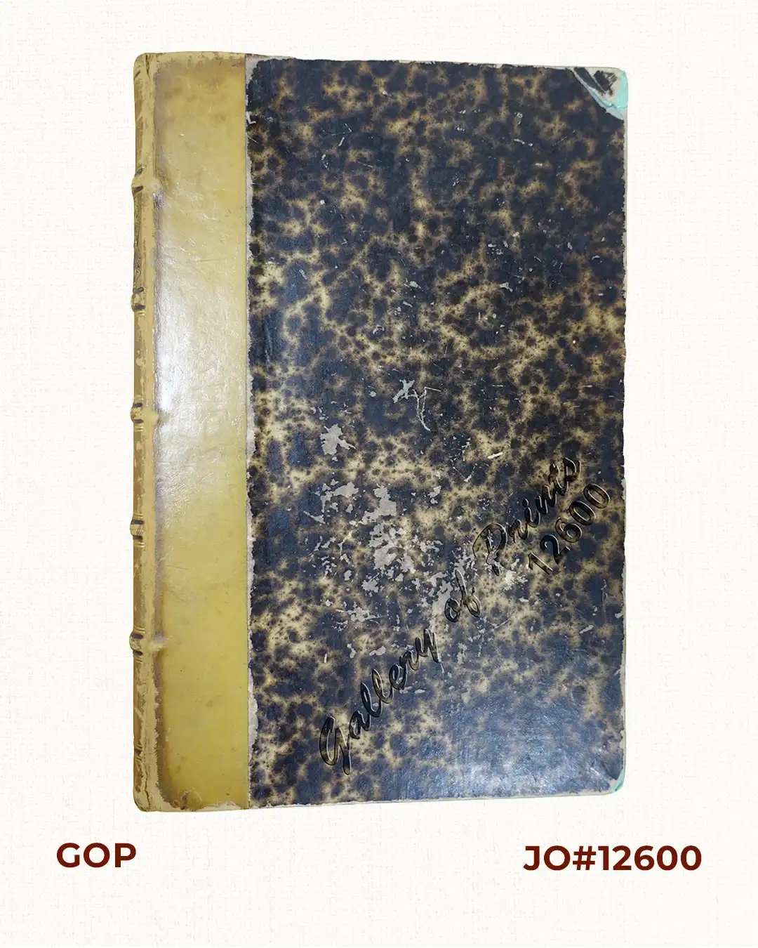 Rapport à M. Le Ministre de L'Instruction Publique sur une mission aux îles Philippines et en Malaisie (1879 - 1881)'