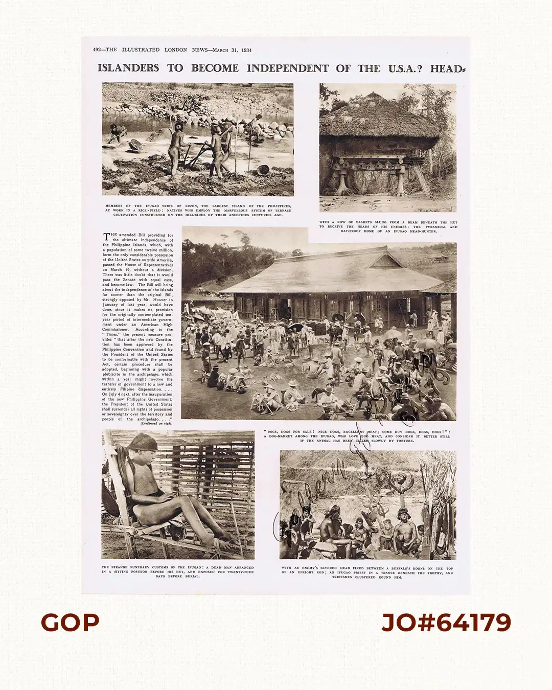 1) Members of the Ifugao Tribe of Luzon, The Largest Island of the Philippines, at Work in a Rice-Field: Natives who employ the Marvellous System of Terrace Culvation Constructed on the Hill-Sides by their Ancestors centuries ago. 2) With a row of baskets slung from a beam beneath the hut to receive the heads of his enemies: The Pyramidal and Eat-proof Home of an Ifugao Head-Hunter. 3) "Dogs, Dogs for Sale! Nice Dogs, Excellent Meat; Come Buy Dogs, Dogs, Dogs!": A Dog-Market Among the Ifugao, Who Love Dog Meat, and consider it better still if the animal has been killed slowly by torture. 4) The Strange Funerary Customs of the Ifugao: A Dead Man arranged in a sitting position before his hut, and exposed for twenty-four days before burial. 5) With an enemy's severed head fixed between a buffalo's horns on the top of an upright rod; An Ifugao Priest in a trance beneath the trophy, and Tribesmen clustered round him.