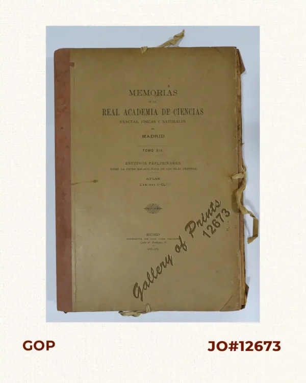 Memorias de la Real Academia de Ciencias Exactas, Fisicas y Naturales de Madrid Tomo XIV. - Atlas Estudios Preliminares Sobre La Fauna Malacológica de las Islas Filipinas.