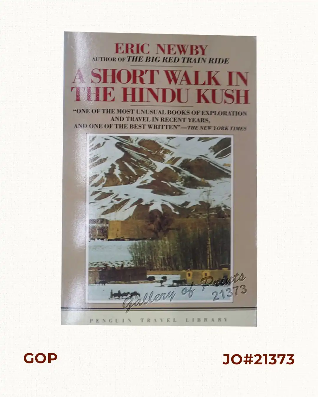 A Short Walk in the Hindu Kush