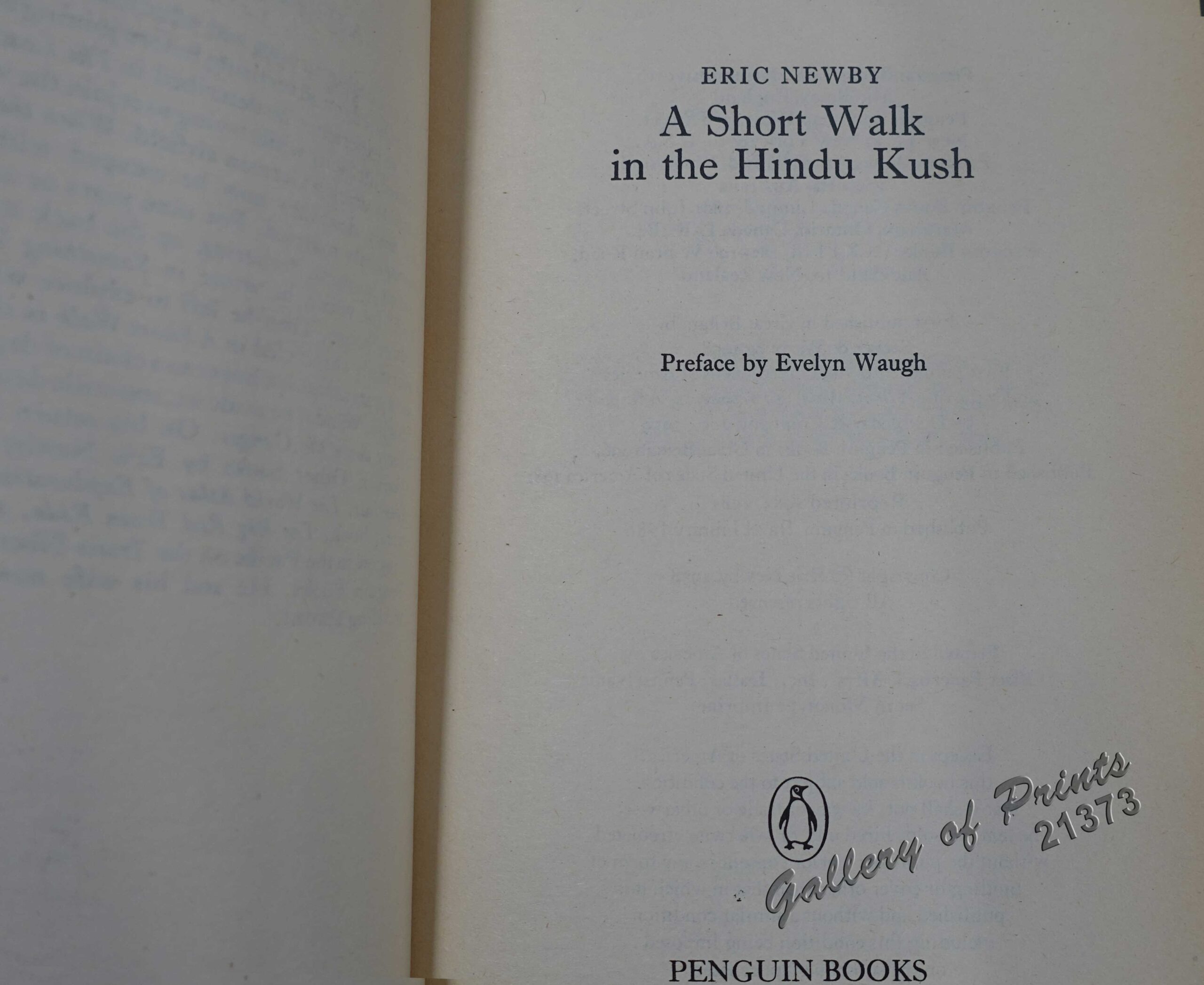 A Short Walk in the Hindu Kush - Image 4