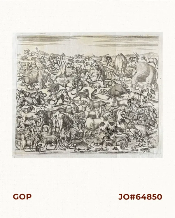 [Quadrupeds or Mammals including Elephant, Rhinoceros, Bull, Zebra, Lion, Giraffe, Armadillo, Horse, Ram, Rabbit, &c.] untitled