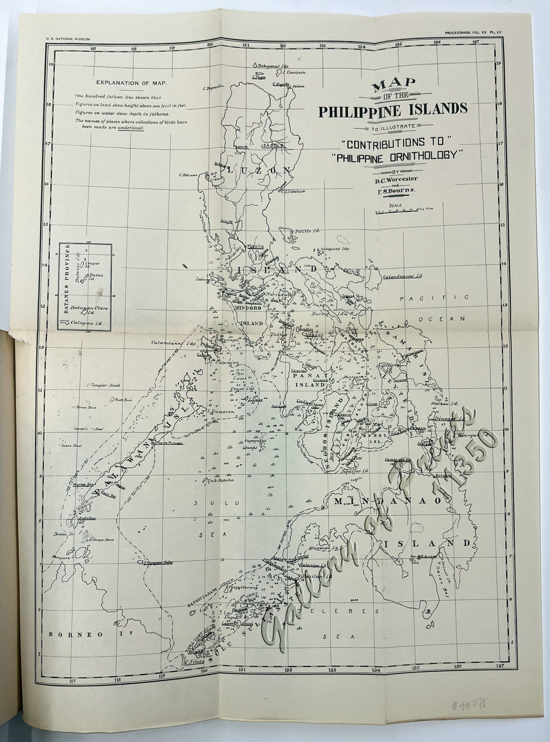 Contributions to Philippine Ornithology - Image 4