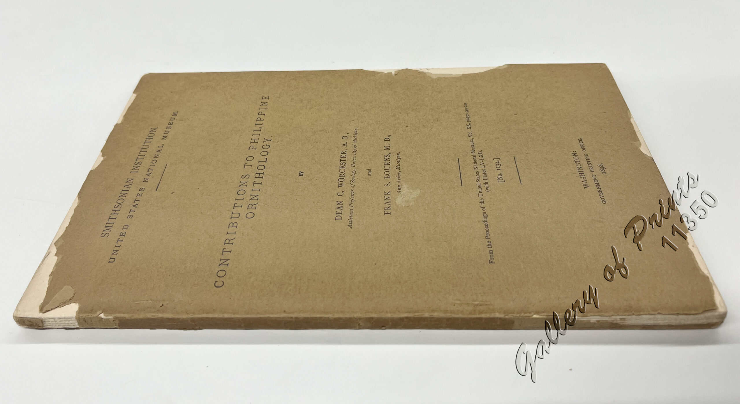 Contributions to Philippine Ornithology - Image 2
