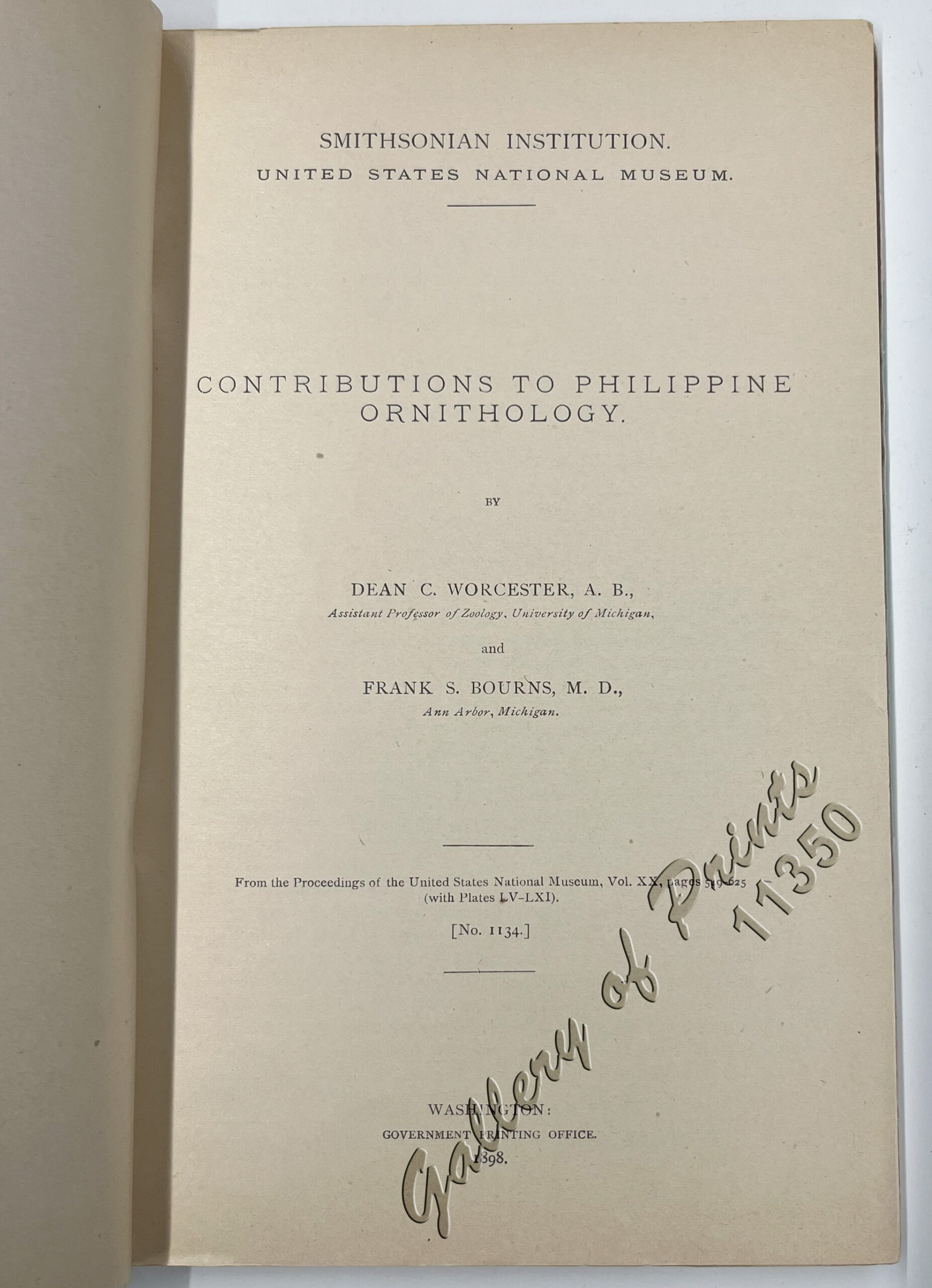 Contributions to Philippine Ornithology - Image 3