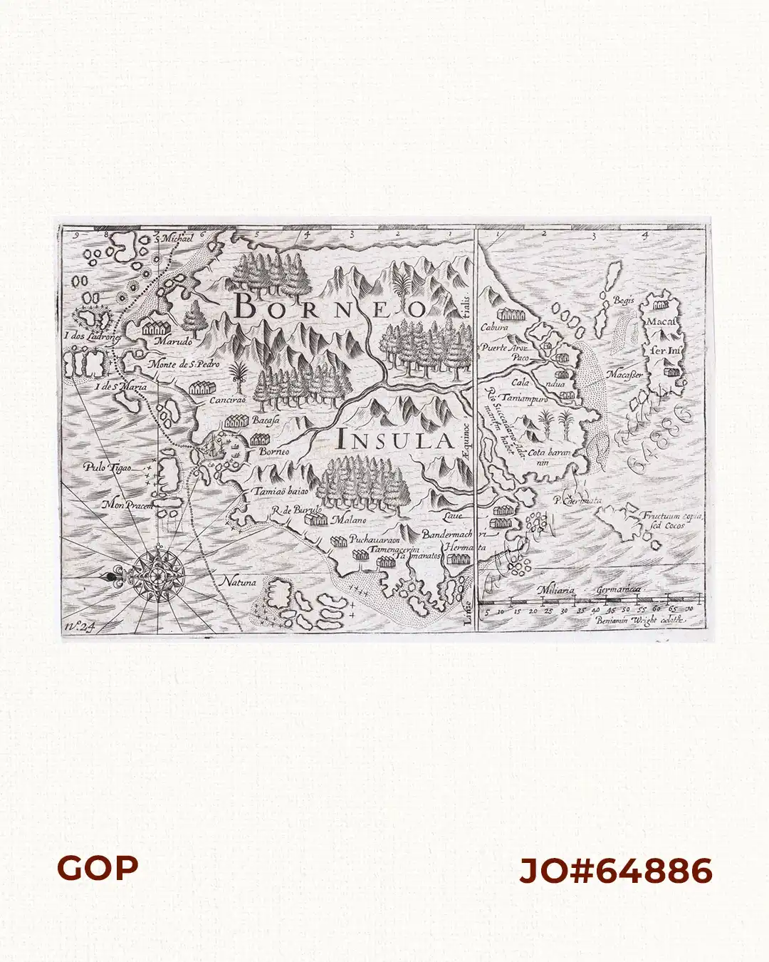 Borneo Insula