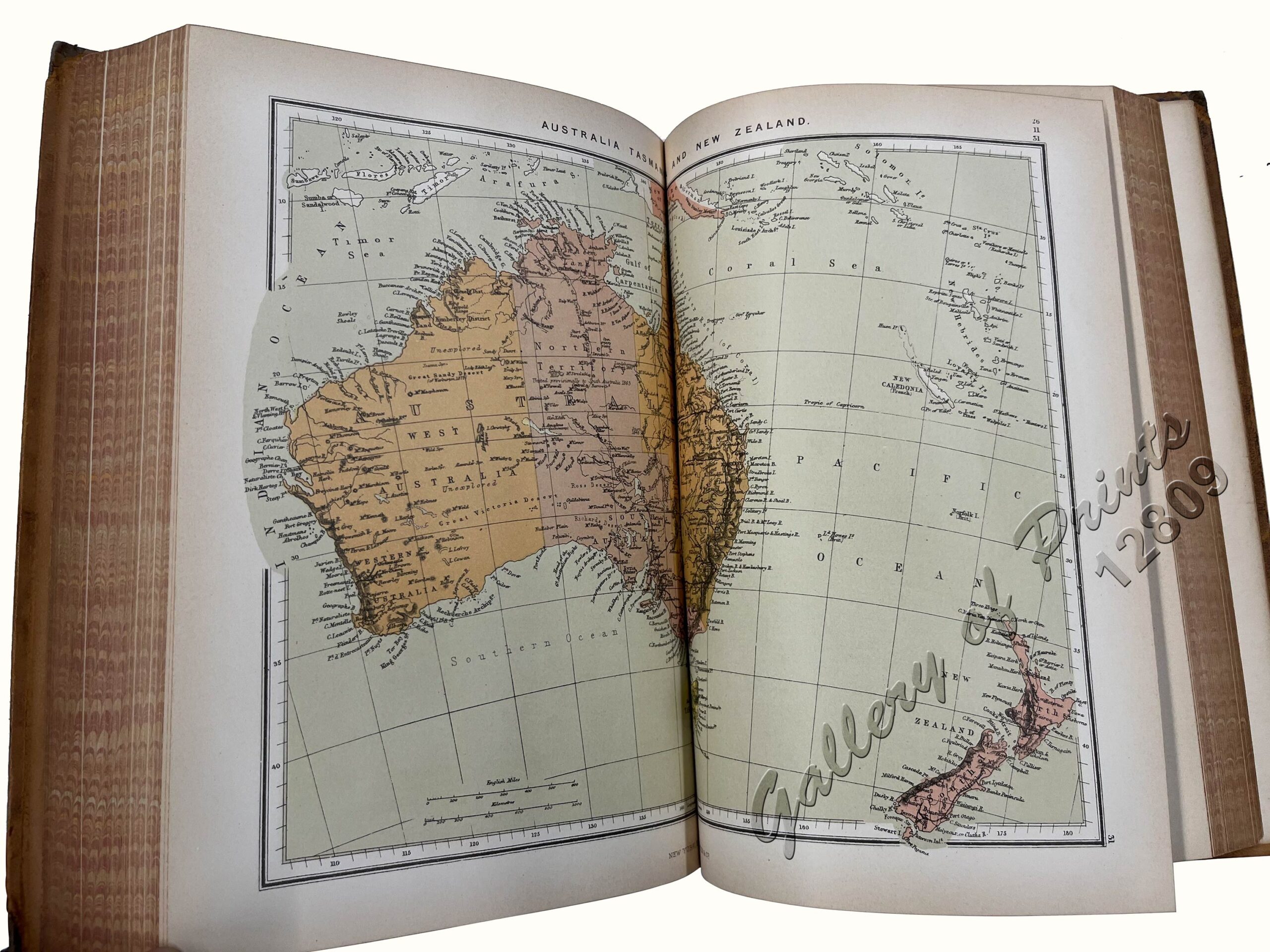The Earth and its Inhabitants Oceanica - Image 4