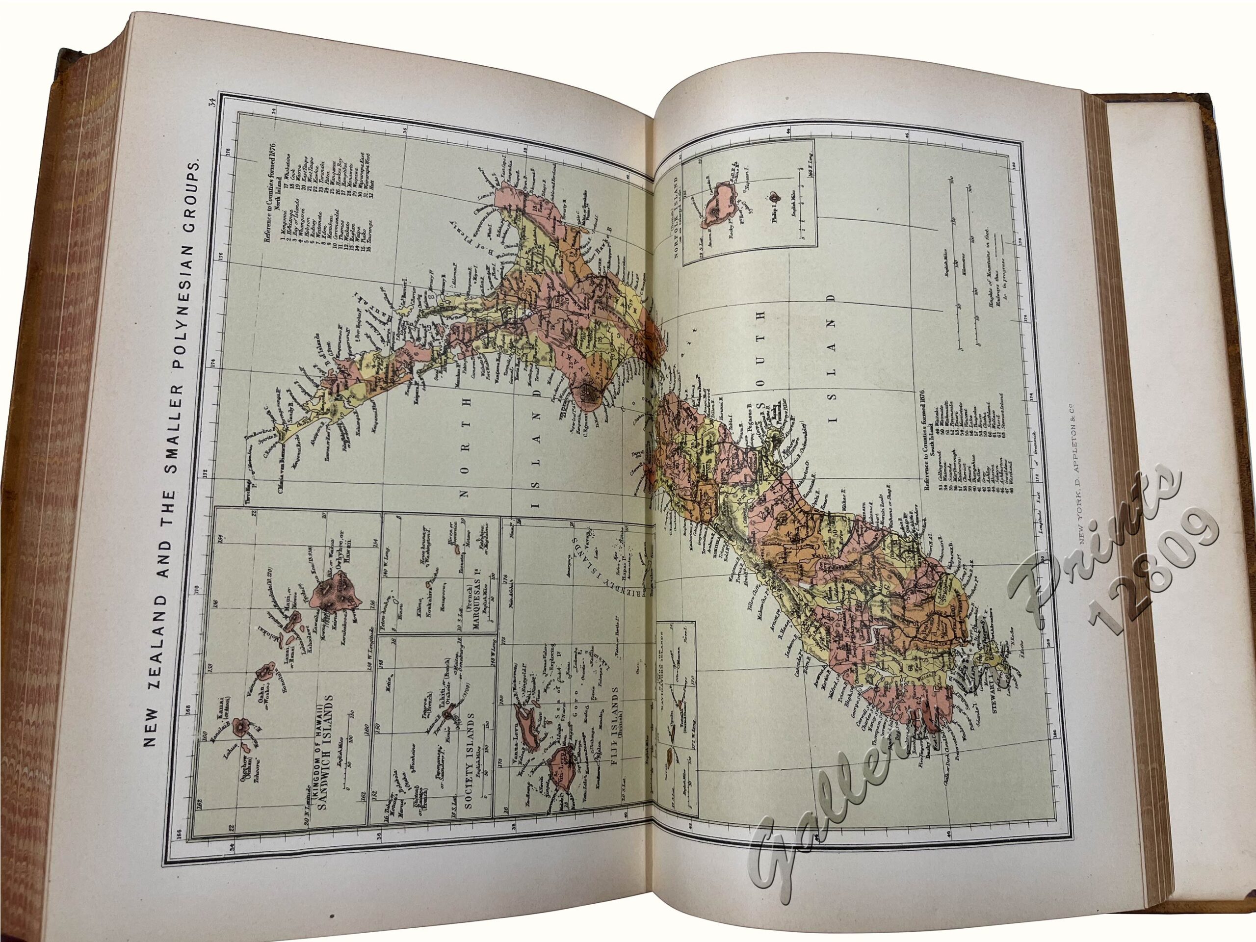 The Earth and its Inhabitants Oceanica - Image 5