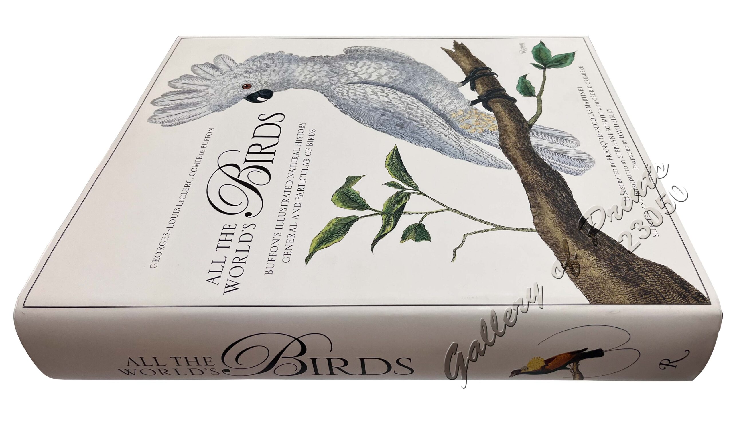 All the World's Birds: Buffon's Illustrated Natural History General and Particular of Birds. - Image 4