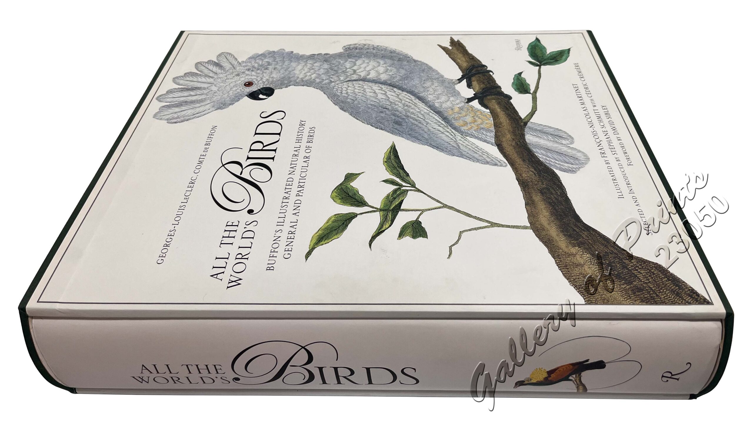 All the World's Birds: Buffon's Illustrated Natural History General and Particular of Birds. - Image 2