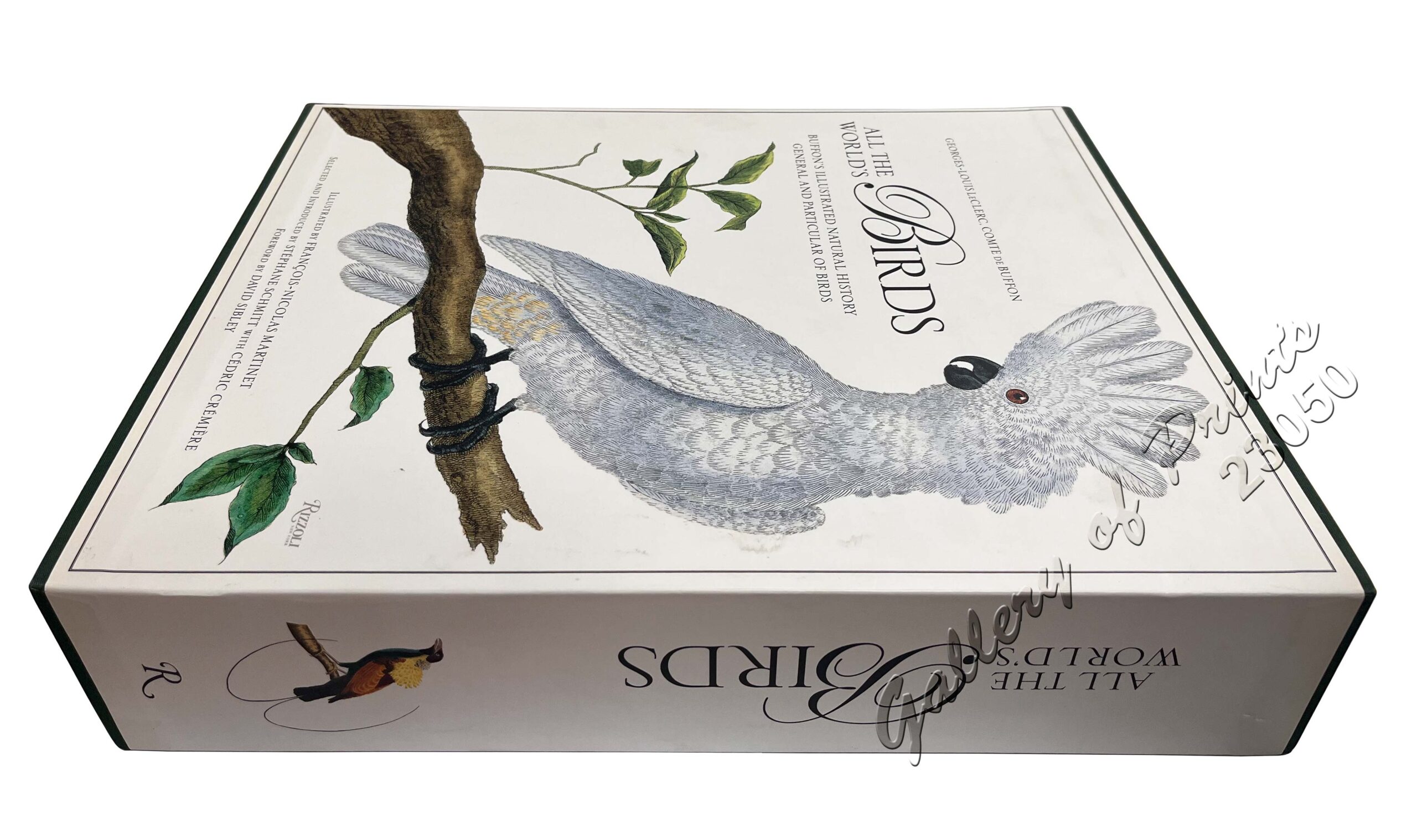 All the World's Birds: Buffon's Illustrated Natural History General and Particular of Birds. - Image 3