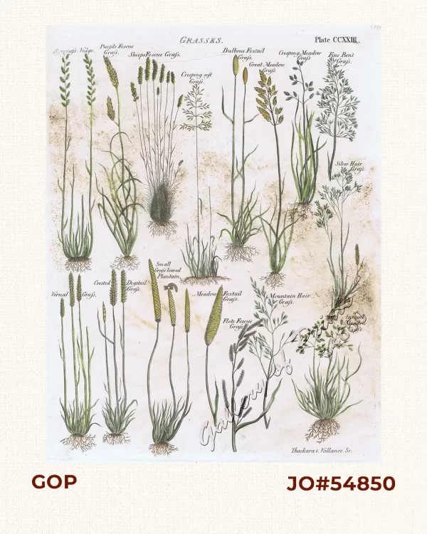 Grasses (16 figures)