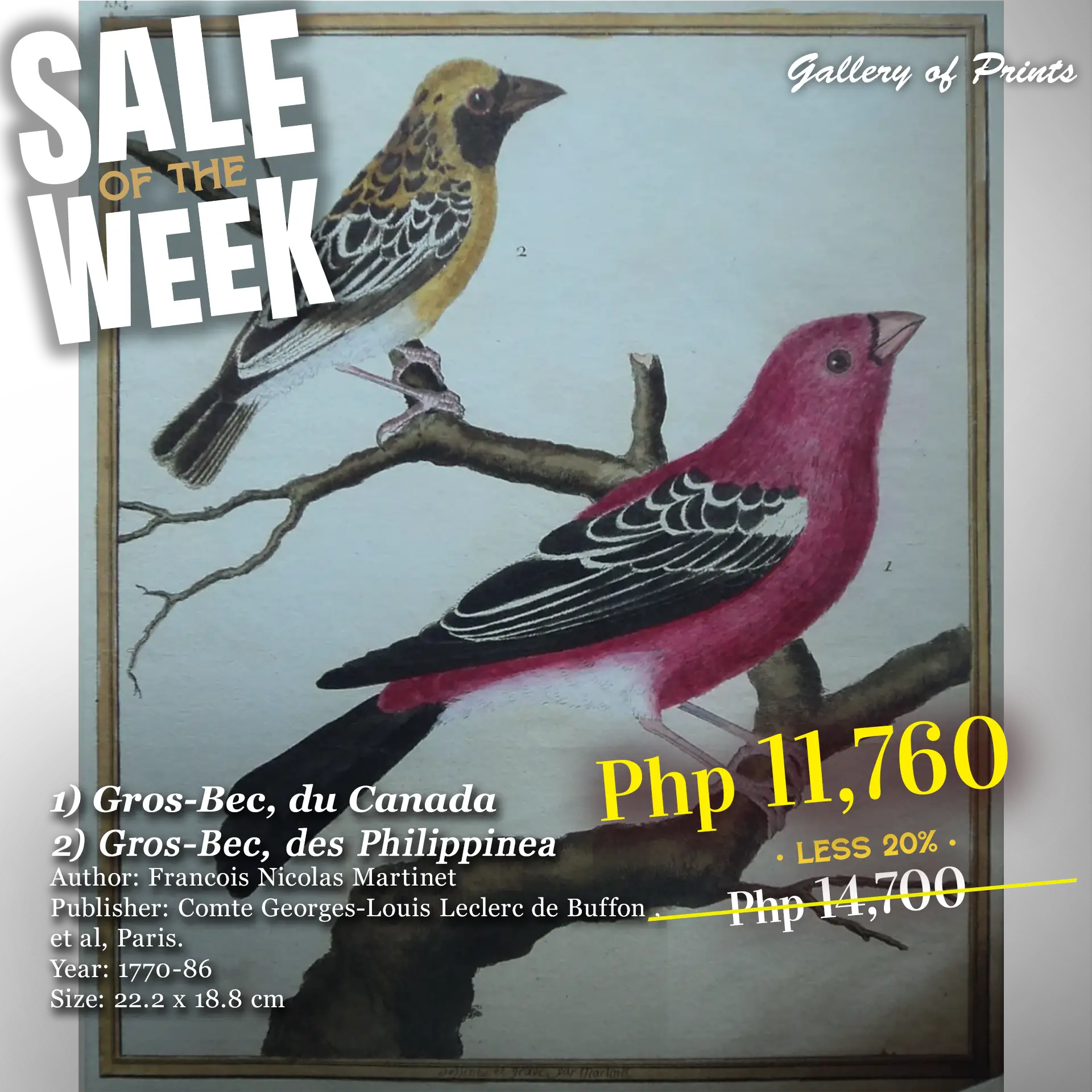 GOP Sale of the Week JO 52373 1