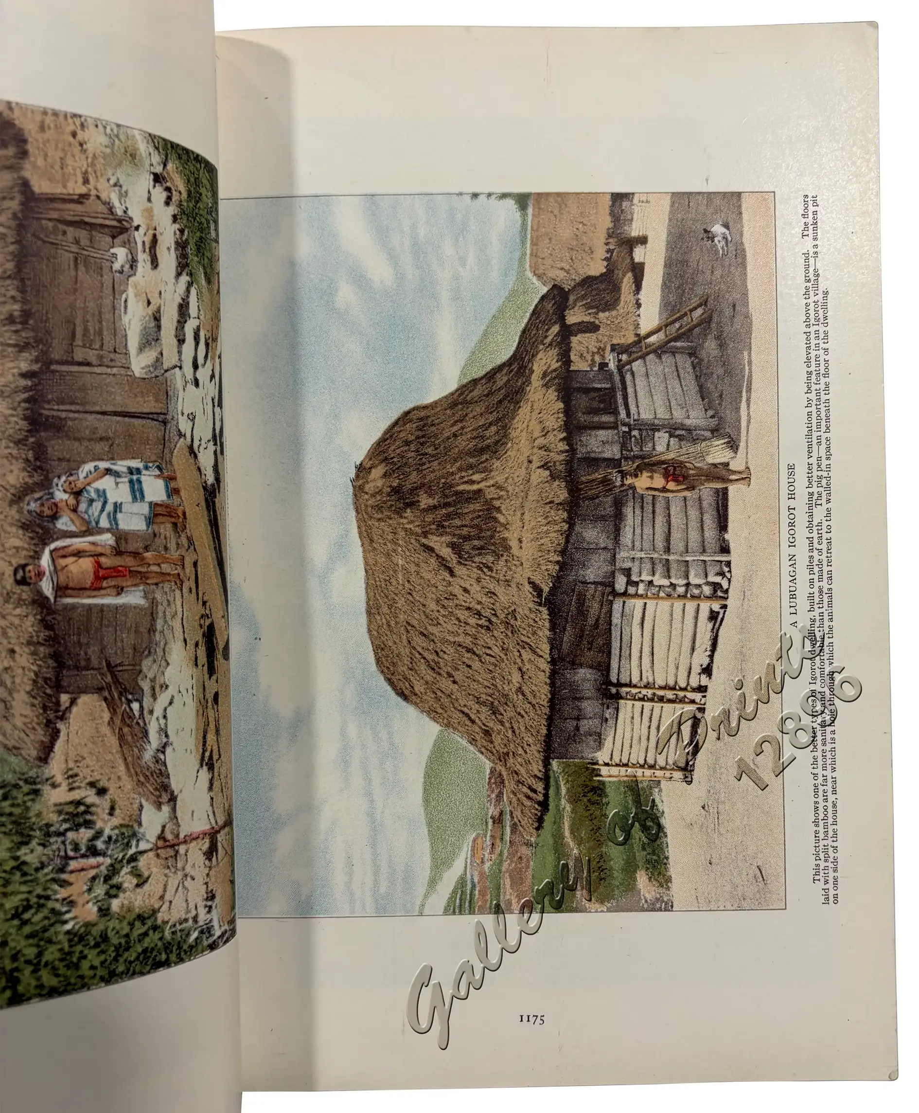 The National Geographic Magazine: The Non-Christian Peoples of the Philippine Islands - Image 5